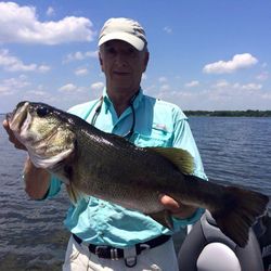 Reeled in Bass in Lake Fork