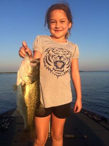 Lake Fork, Largemouth Bass