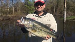 Lake Fork, Largemouth Bass