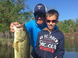 Largemouth Bass in Lake Fork