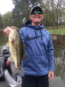  Largemouth Bass in Lake Fork