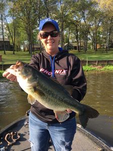 Giant Bass Fished in Texas Waters