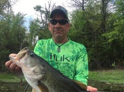 Largemouth Bass in Lake Fork