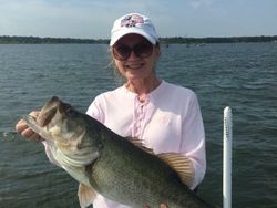 Massive Largemouth Bass in Texas