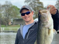 Largemouth Bass in Lake Fork