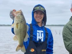 Largemouth Bass in Lake Fork
