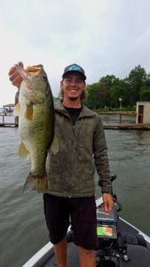 Florida Bass, freshwater fish caught in Quitman