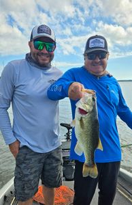 Largemouth bass caught by two people in Quitman