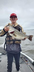 Lone angler fishing in Quitman