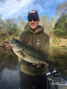Largemouth bass caught in TX