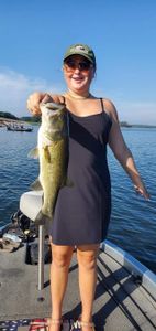 1 fisherman angling in Quitman