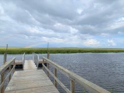 Scenic view of fishing in South Carolina