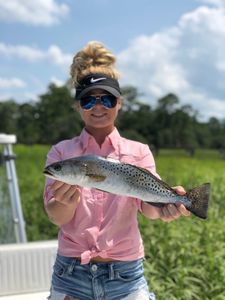 Spotted Weakfish caught in Ridgeland while fishing