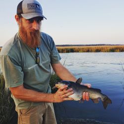 A white catfish being held by a person in South Carolina