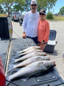 Two anglers with three striped bass fishing in Columbia