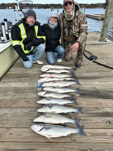 7 striped bass caught by 3 people in SC
