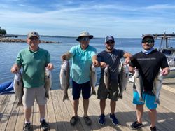 Seven striped bass caught during Columbia fishing adventure