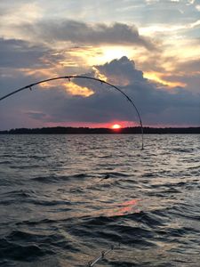 Scenic landscape in SC