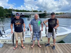 Six striped bass caught during a fishing trip in Columbia