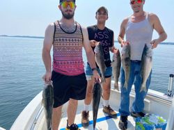 Six striped bass caught fishing in SC