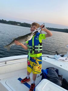 Striped Bass caught in SC