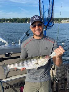 Striped bass caught in Columbia