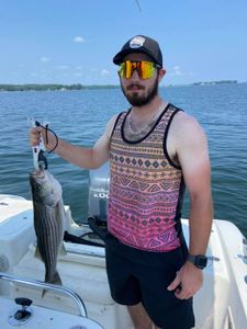 Striped Bass caught in Columbia