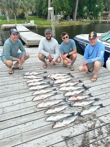 Two striped bass, 18 inches long, caught while fishing in Columbia