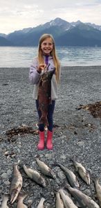 4 big fish caught in Seward
