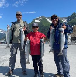 6 coho salmon and rainbow trout caught while fishing in AK