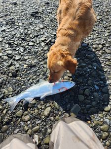 Fishing in AK