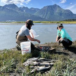 Two people fishing in Seward
