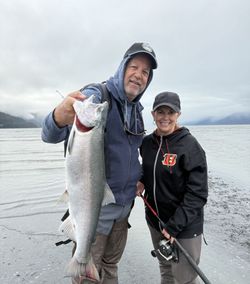 Coho salmon caught while fishing in Seward