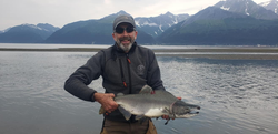 Photograph of a single pink salmon caught in Seward