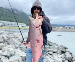 A 26-inch rainbow trout caught while fishing in Seward