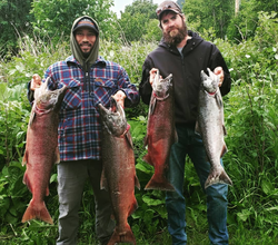 4 coho salmon and rainbow trout caught by two people in Seward