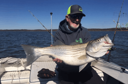 Striped bass caught in Pottsboro