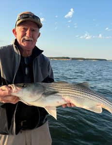 Striped Bass Caught in Pottsboro