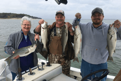 Five striped bass caught in Pottsboro, Texas