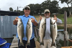 4 striped bass caught while fishing in Pottsboro