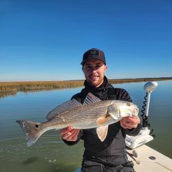 Red Drum – Spot the beauty!
