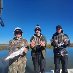 Seatrout & Sheepshead – Spots & stripes!