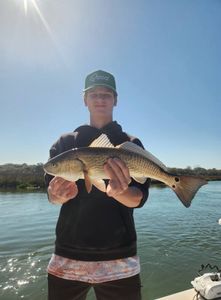 Red Drum – Spot the catch!