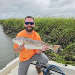 Fresh catches and unforgettable moments.