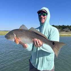 Chasing the next big bite!