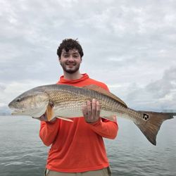 The fish are biting in Charleston!