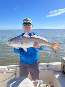 Massive Redfish Caught in South Carolina