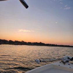 Charleston fishing charters