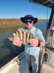 Solid Sheepshead catch! 🎣