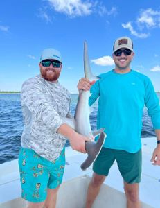 Shark Fishing in South Carolina